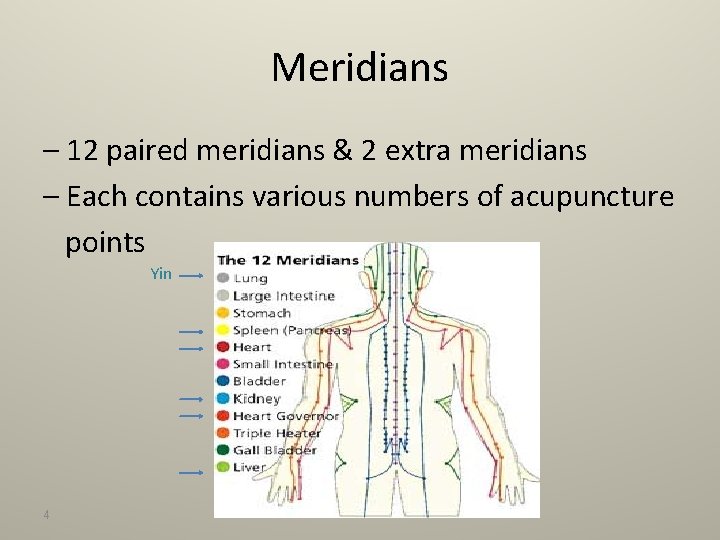 Meridians – 12 paired meridians & 2 extra meridians – Each contains various numbers