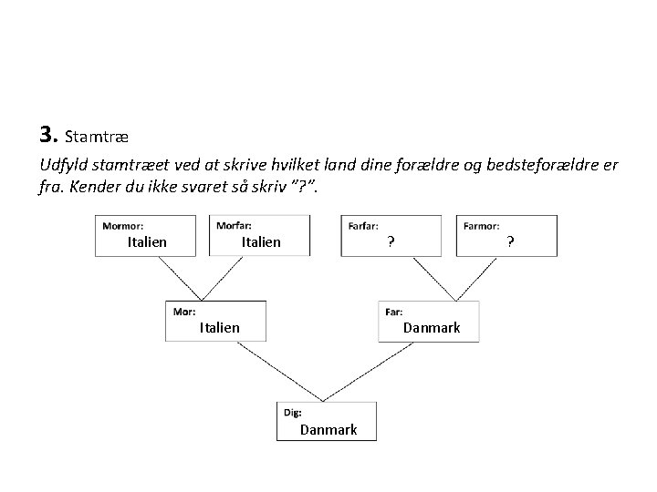 3. Stamtræ Udfyld stamtræet ved at skrive hvilket land dine forældre og bedsteforældre er