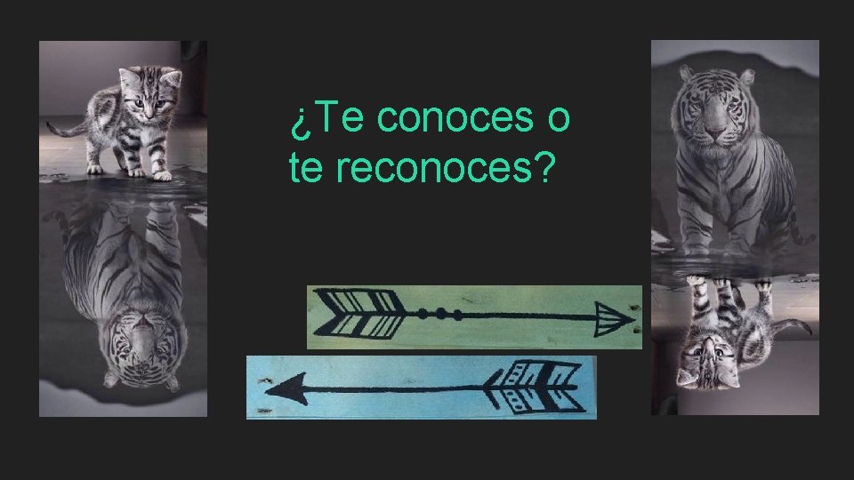 ¿Te conoces o te reconoces? 