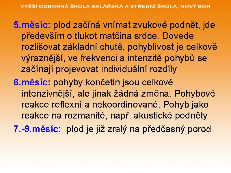 5. měsíc: plod začíná vnímat zvukové podnět, jde především o tlukot matčina srdce. Dovede