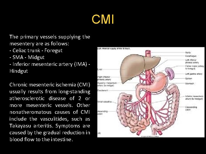 CMI The primary vessels supplying the mesentery are as follows: - Celiac trunk - CMI The primary vessels supplying the mesentery are as follows: - Celiac trunk -
