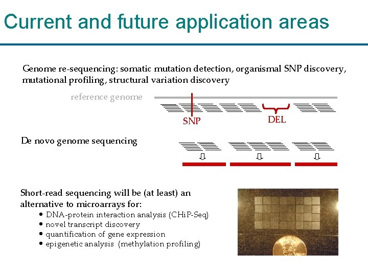 Current and future application areas Genome re-sequencing: somatic mutation detection, organismal SNP discovery, mutational