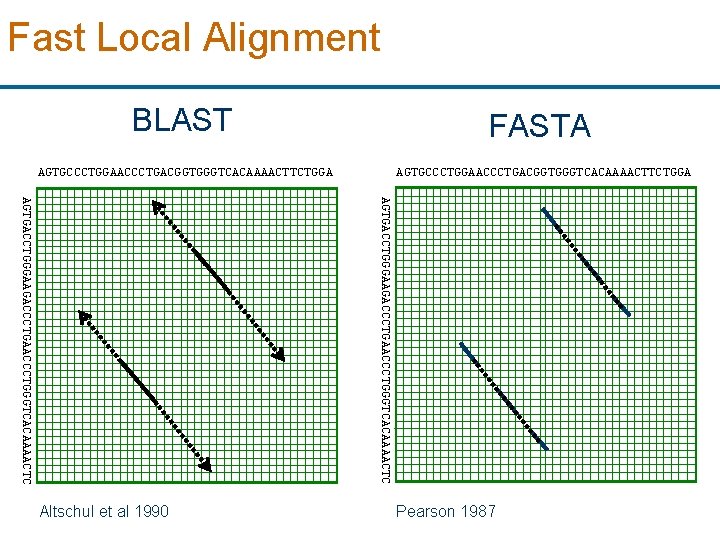 Fast Local Alignment BLAST FASTA AGTGCCCTGGAACCCTGACGGTGGGTCACAAAACTTCTGGA AGTGACCTGGGAAGACCCTGAACCCTGGGTCACAAAACTC Altschul et al 1990 Pearson 1987 