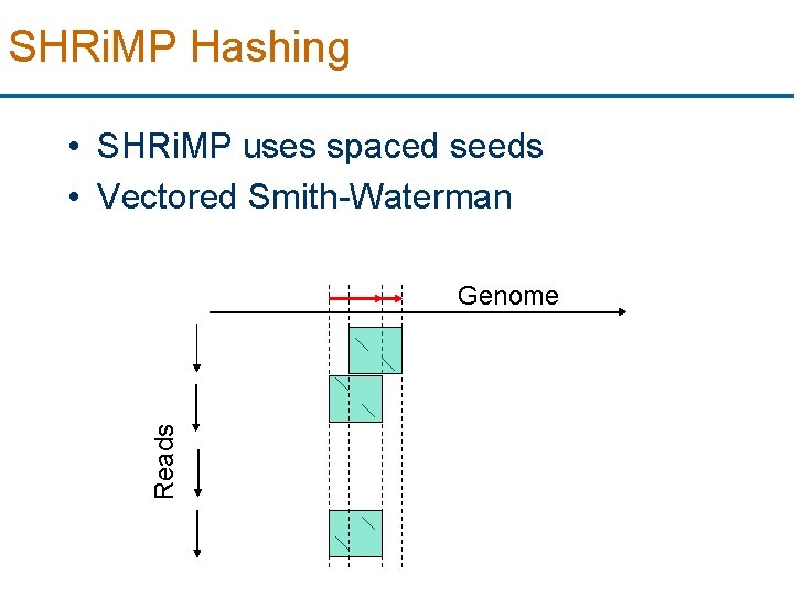 SHRi. MP Hashing • SHRi. MP uses spaced seeds • Vectored Smith-Waterman Reads Genome