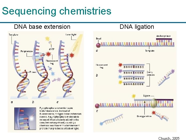 Sequencing chemistries DNA base extension DNA ligation Church, 2005 