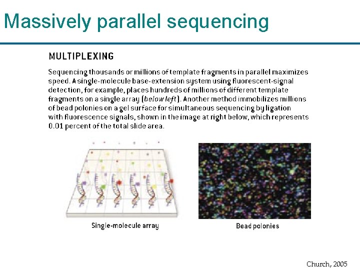 Massively parallel sequencing Church, 2005 