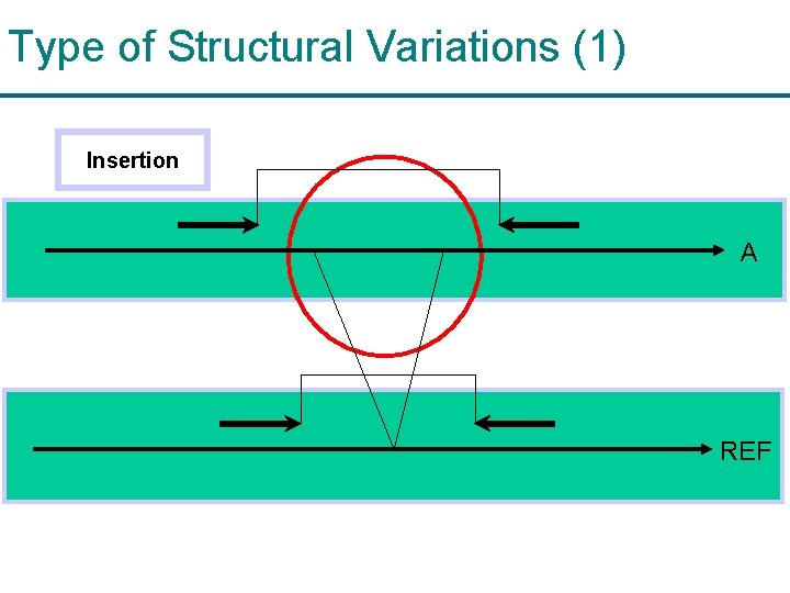 Type of Structural Variations (1) Insertion A REF 