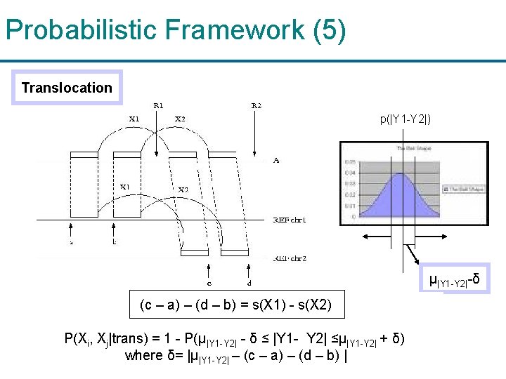 Probabilistic Framework (5) Translocation p(|Y 1 -Y 2|) μ|Y 1 -Y 2|-δ (c –