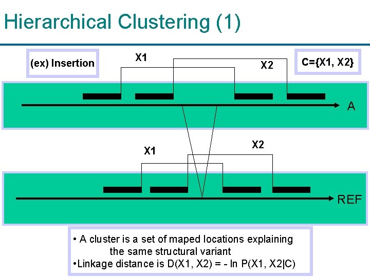 Hierarchical Clustering (1) (ex) Insertion X 1 X 2 C={X 1, X 2} A