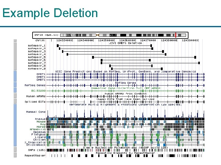 Example Deletion 