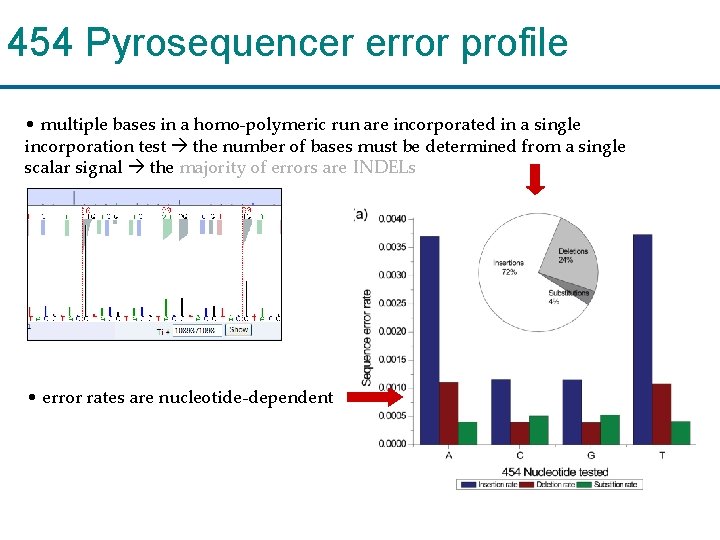 454 Pyrosequencer error profile • multiple bases in a homo-polymeric run are incorporated in