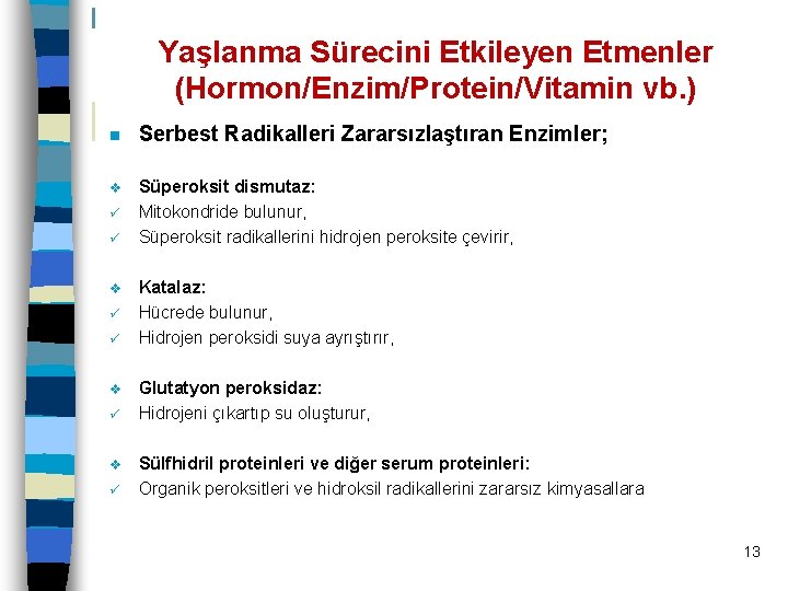 Yaşlanma Sürecini Etkileyen Etmenler (Hormon/Enzim/Protein/Vitamin vb. ) n Serbest Radikalleri Zararsızlaştıran Enzimler; v Süperoksit