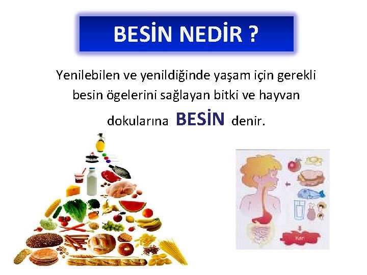 BESİN NEDİR ? Yenilebilen ve yenildiğinde yaşam için gerekli besin ögelerini sağlayan bitki ve