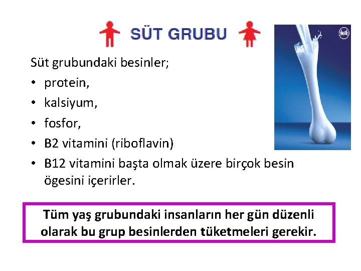 Süt grubundaki besinler; • protein, • kalsiyum, • fosfor, • B 2 vitamini (riboflavin)