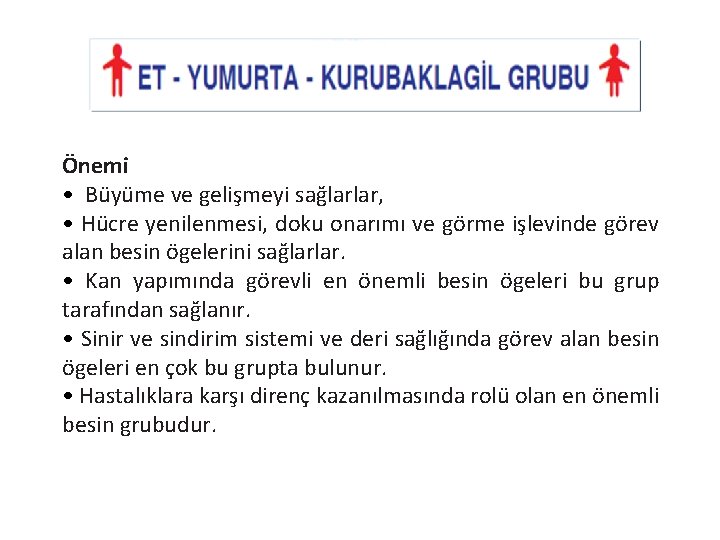 Önemi • Büyüme ve gelişmeyi sağlarlar, • Hücre yenilenmesi, doku onarımı ve görme işlevinde