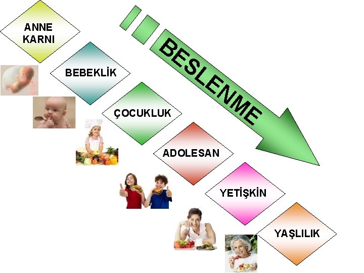 ANNE KARNI BEBEKLİK BE S LE ÇOCUKLUK NM E ADOLESAN YETİŞKİN YAŞLILIK 