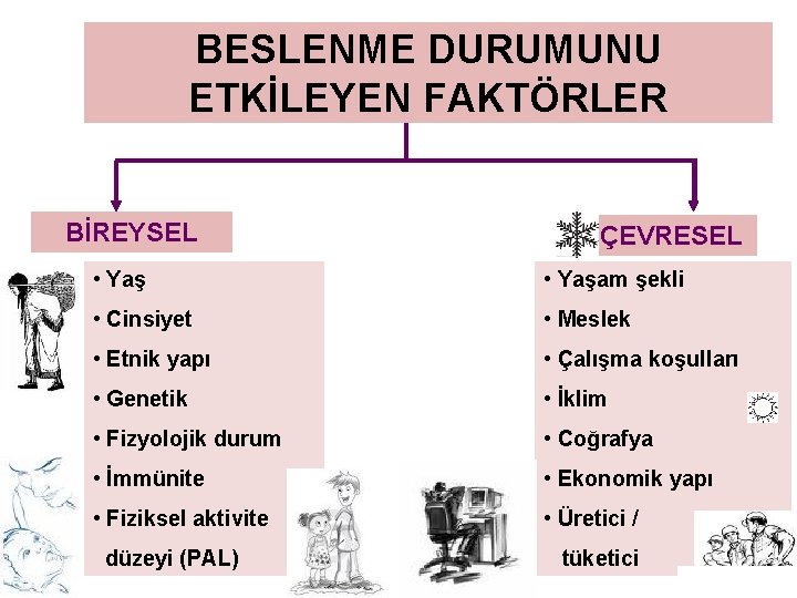 BESLENME DURUMUNU ETKİLEYEN FAKTÖRLER BİREYSEL ÇEVRESEL • Yaşam şekli • Cinsiyet • Meslek •