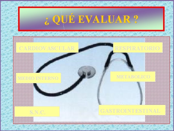 ¿ QUÉ EVALUAR ? CARDIOVASCULAR MEDIO INTERNO S. N. C. RESPIRATORIO METABOLICO GASTROINTESTINAL 