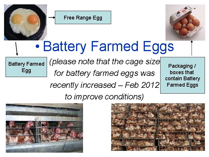 Free Range Egg • Battery Farmed Eggs Battery Farmed Egg (please note that the