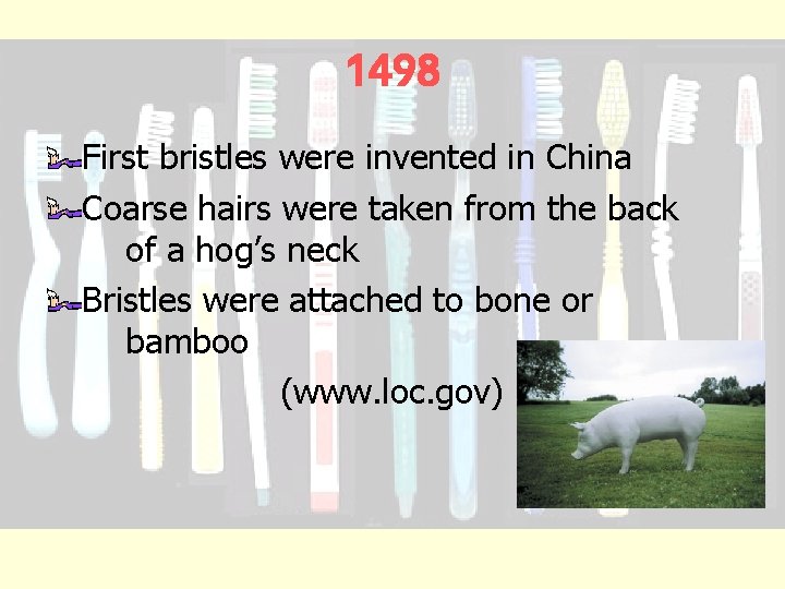 1498 First bristles were invented in China Coarse hairs were taken from the back