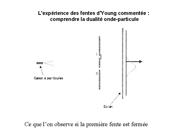 L'expérience des fentes d'Young commentée : comprendre la dualité onde-particule Ce que l’on observe