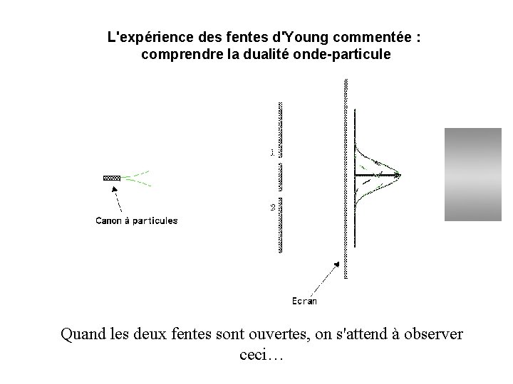 L'expérience des fentes d'Young commentée : comprendre la dualité onde-particule Quand les deux fentes