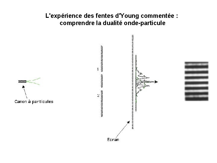 L'expérience des fentes d'Young commentée : comprendre la dualité onde-particule 