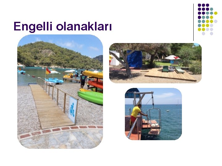 Engelli olanakları 