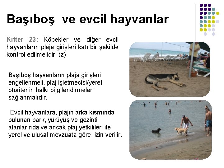 Başıboş ve evcil hayvanlar Kriter 23: Köpekler ve diğer evcil hayvanların plaja girişleri katı
