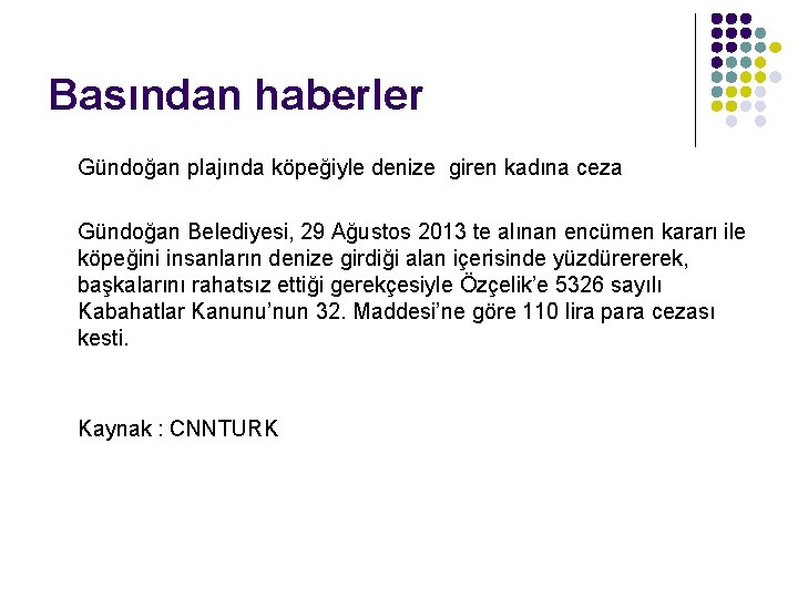 Basından haberler Gündoğan plajında köpeğiyle denize giren kadına ceza Gündoğan Belediyesi, 29 Ağustos 2013