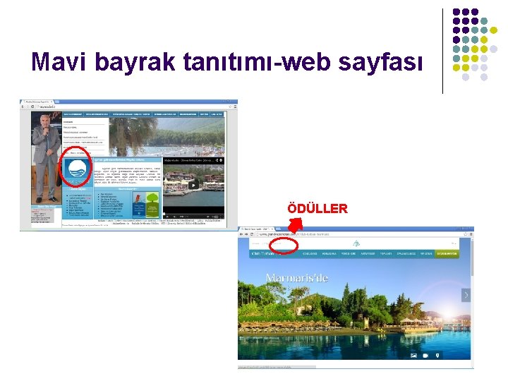 Mavi bayrak tanıtımı-web sayfası ÖDÜLLER 