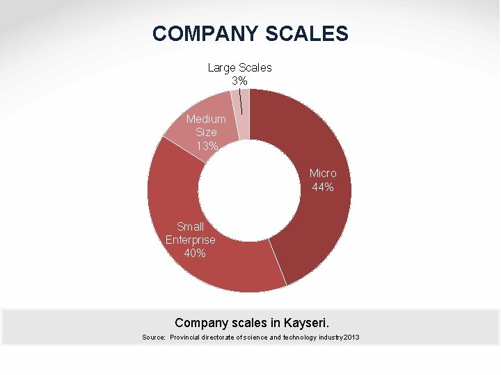 COMPANY SCALES Large Scales 3% Medium Size 13% Micro 44% Small Enterprise 40% Company