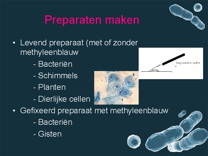 Preparaten maken • Levend preparaat (met of zonder methyleenblauw - Bacteriën - Schimmels -