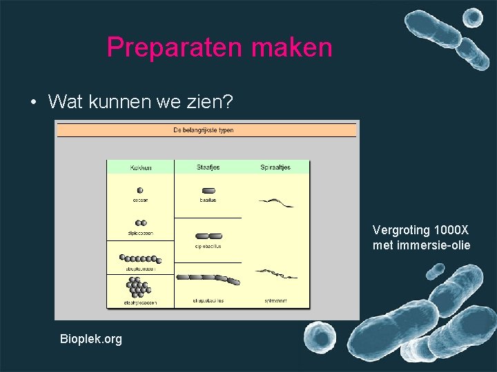 Preparaten maken • Wat kunnen we zien? Vergroting 1000 X met immersie-olie Bioplek. org