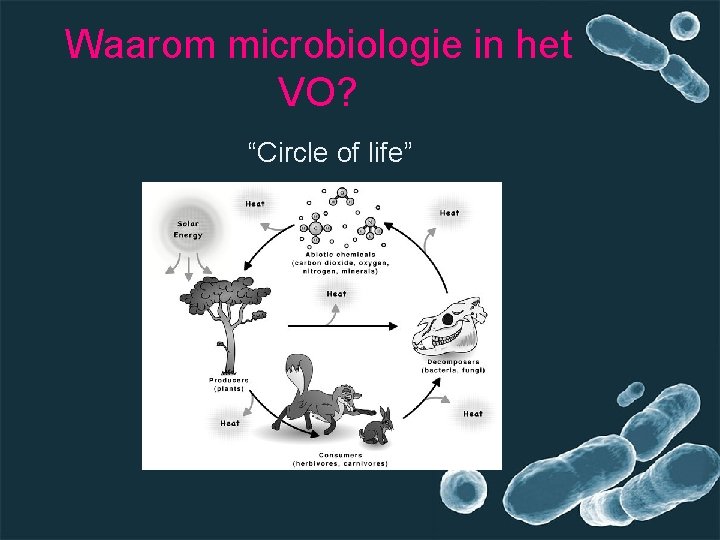 Waarom microbiologie in het VO? “Circle of life” 