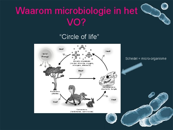Waarom microbiologie in het VO? “Circle of life” Schedel = micro-organisme 