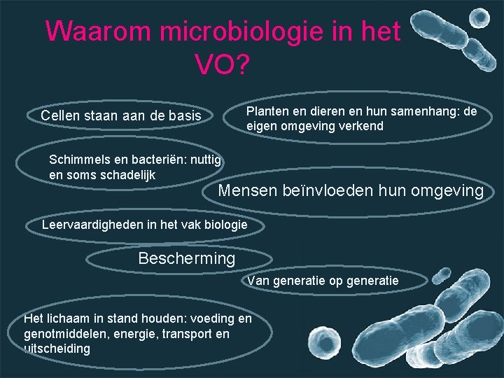 Waarom microbiologie in het VO? Planten en dieren en hun samenhang: de eigen omgeving