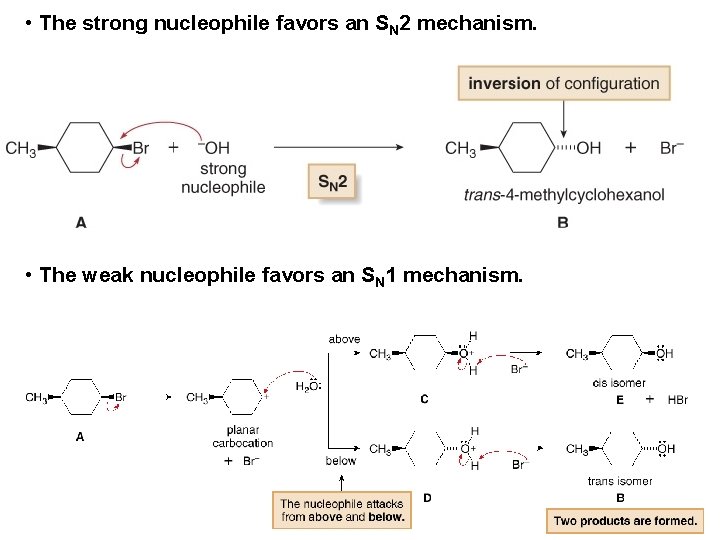  • The strong nucleophile favors an SN 2 mechanism. • The weak nucleophile