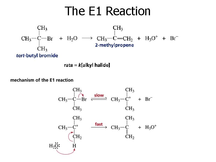 The E 1 Reaction 