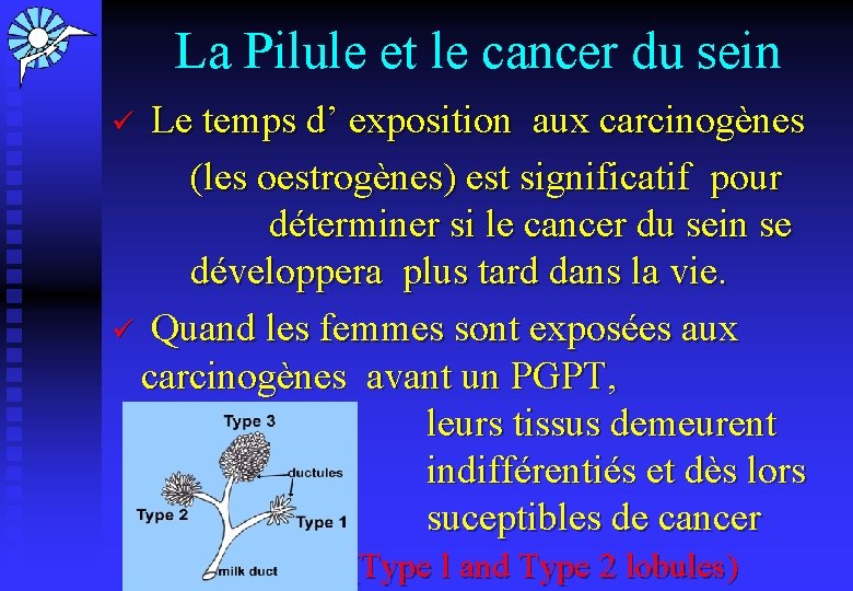 La Pilule et le cancer du sein ü Le temps d’ exposition aux carcinogènes