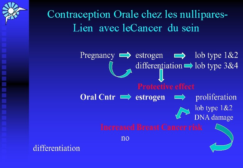  Contraception Orale chez les nullipares. Lien avec le. Cancer du sein 