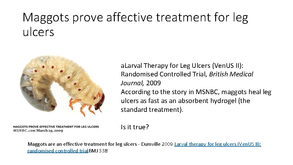 Maggots prove affective treatment for leg ulcers a. Larval Therapy for Leg Ulcers (Ven.