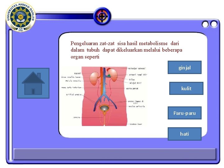 Pengeluaran zat-zat sisa hasil metabolisme dari dalam tubuh dapat dikeluarkan melalui beberapa organ seperti