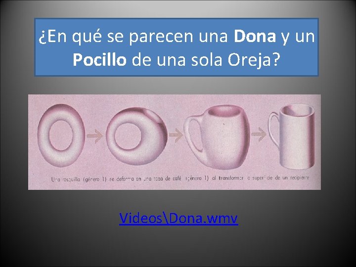 ¿En qué se parecen una Dona y un Pocillo de una sola Oreja? VideosDona.