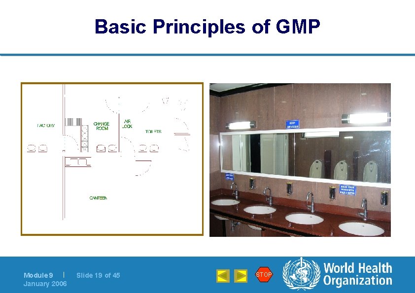 Basic Principles of GMP Module 9 | January 2006 Slide 19 of 45 STOP
