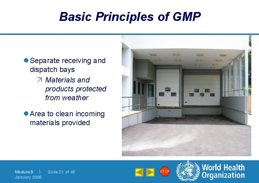 Basic Principles of GMP l Separate receiving and dispatch bays ä Materials and products