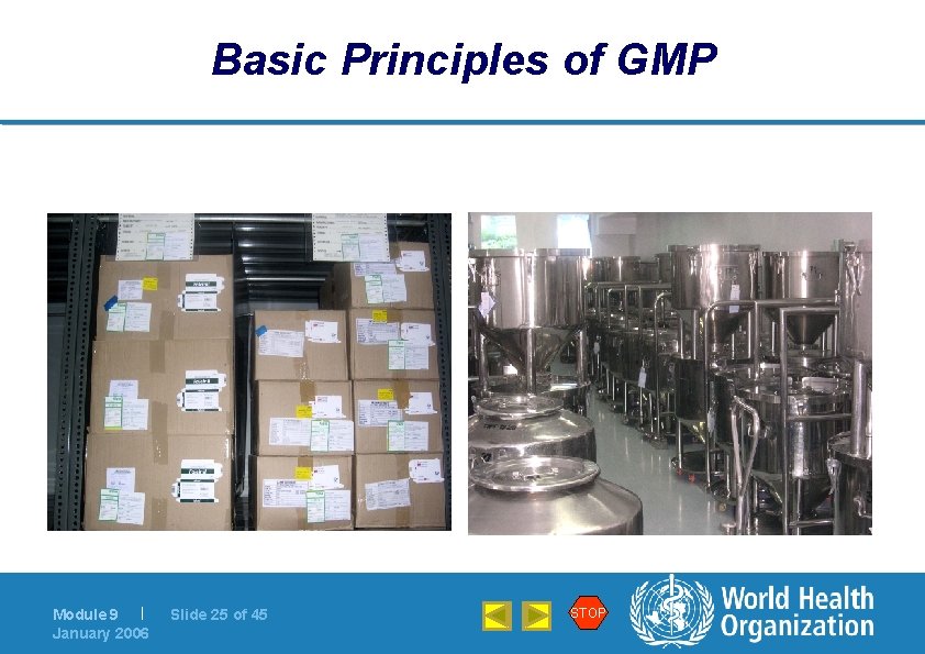 Basic Principles of GMP Module 9 | January 2006 Slide 25 of 45 STOP