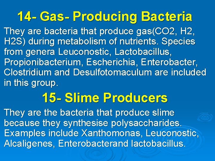 14 - Gas- Producing Bacteria They are bacteria that produce gas(CO 2, H 2