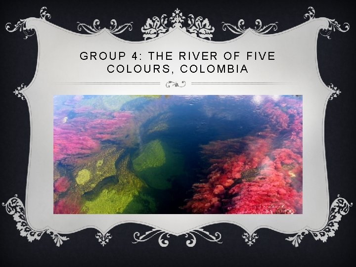 GROUP 4: THE RIVER OF FIVE COLOURS, COLOMBIA 