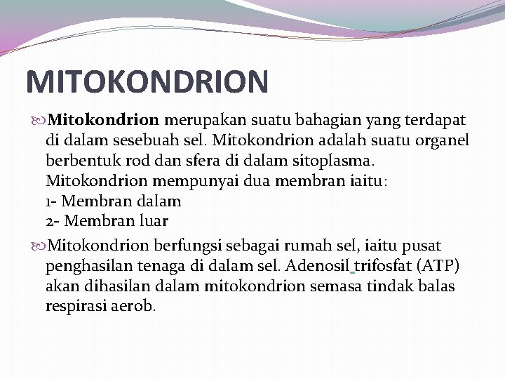 MITOKONDRION Mitokondrion merupakan suatu bahagian yang terdapat di dalam sesebuah sel. Mitokondrion adalah suatu